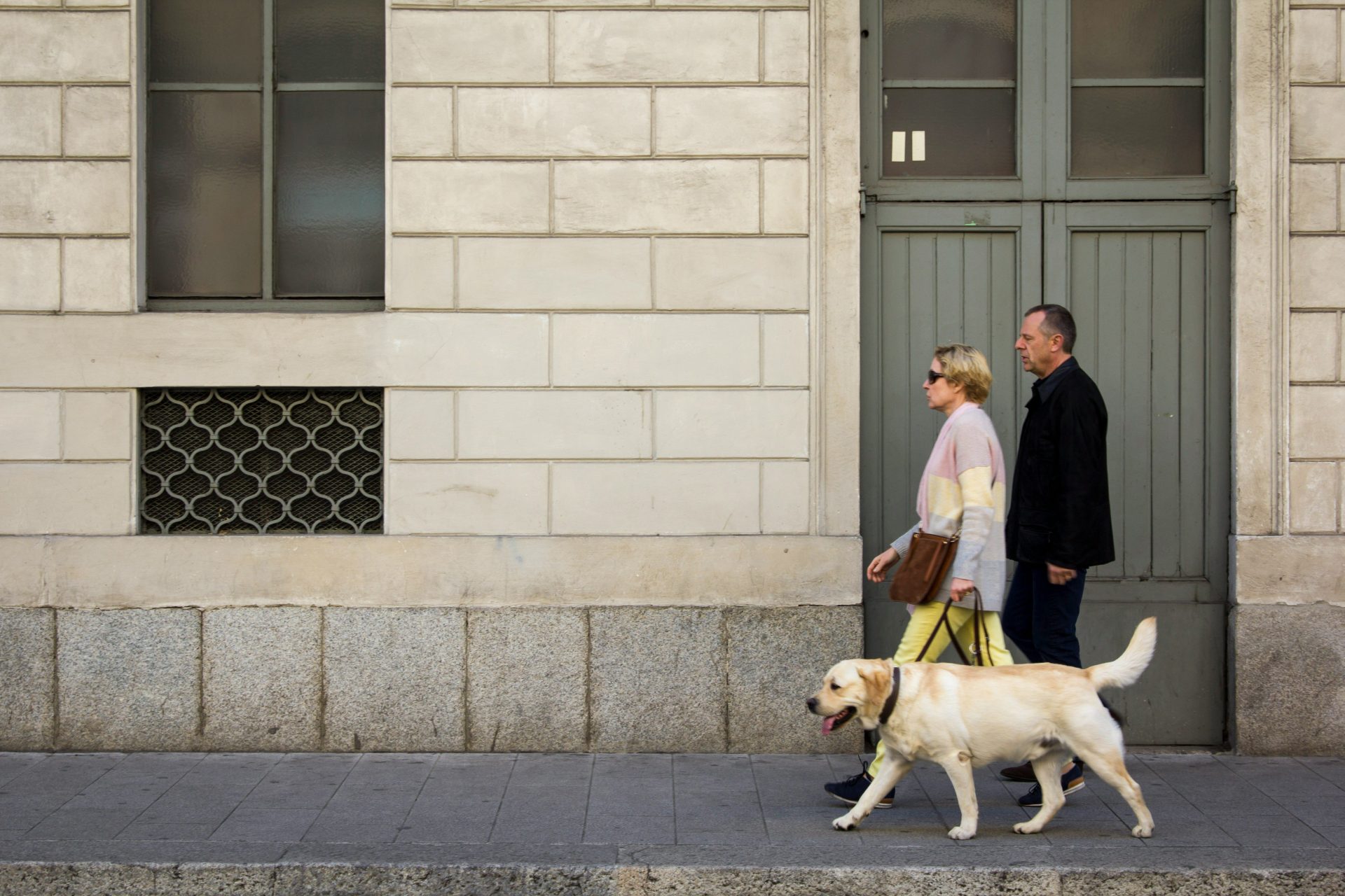 Un homme et une femme promènent un labrador devant une porte fermée