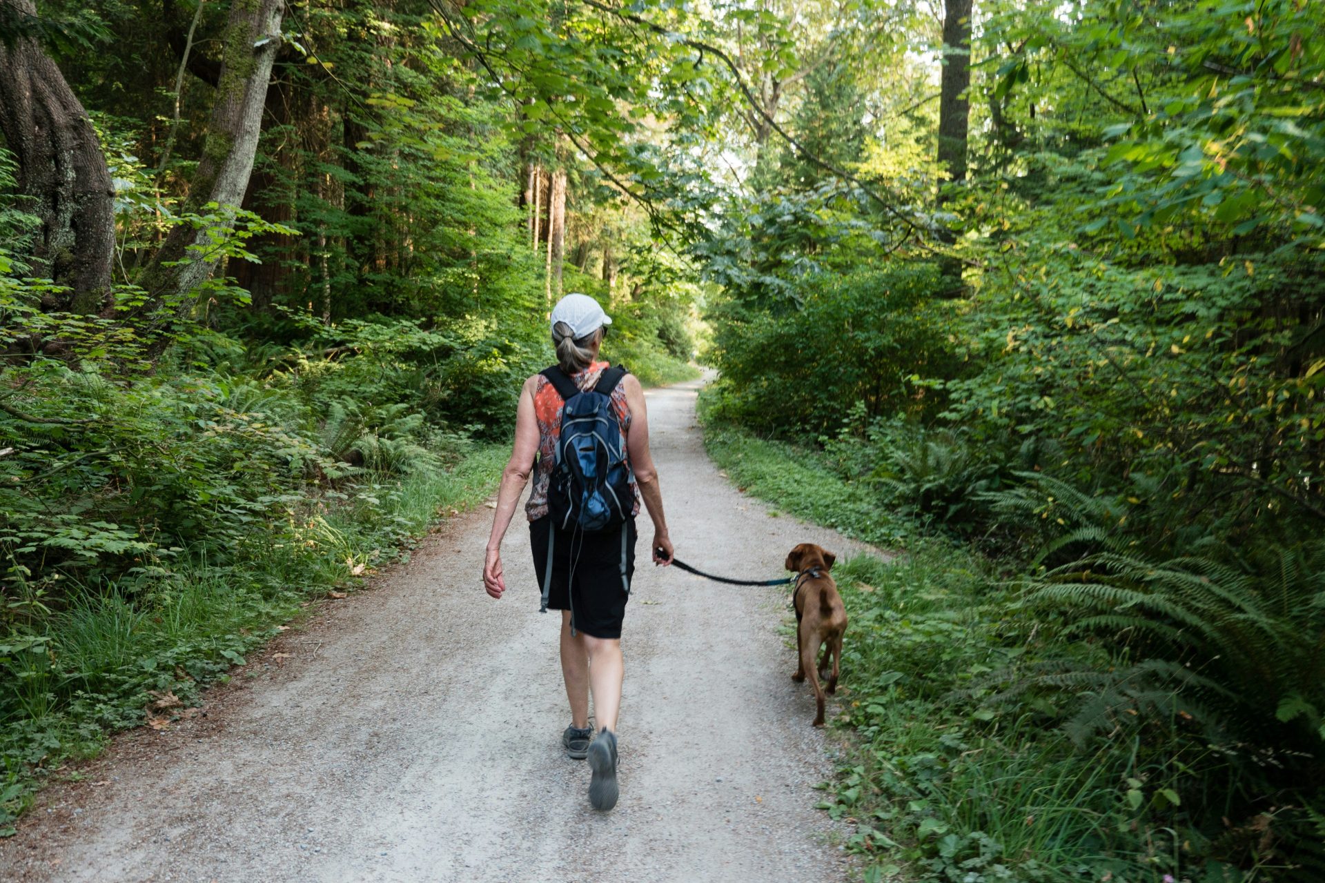 Deux femmes marchent sur la route avec un chien brun en plein jour