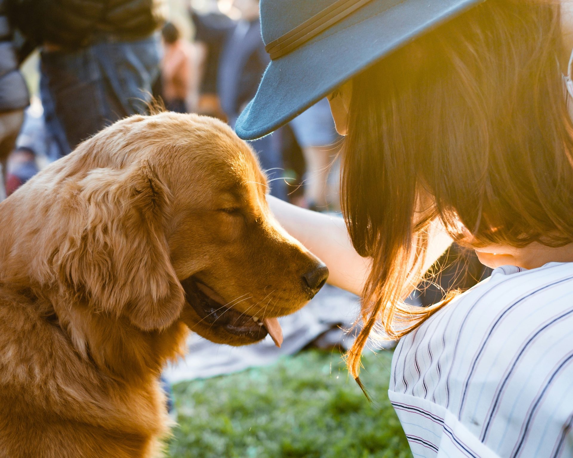Gros plan d'une femme tenant un golden retriever adulte